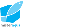WelCare
